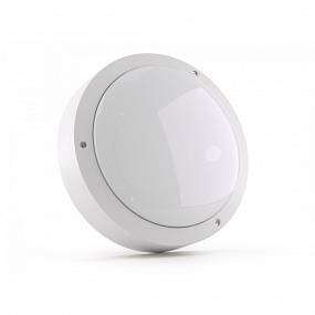 Купить NEWLED.SF22.25.M.5K.IP65 NEWLED по лучшей цене с доставкой - интернет-магазин Прогрессивные решения